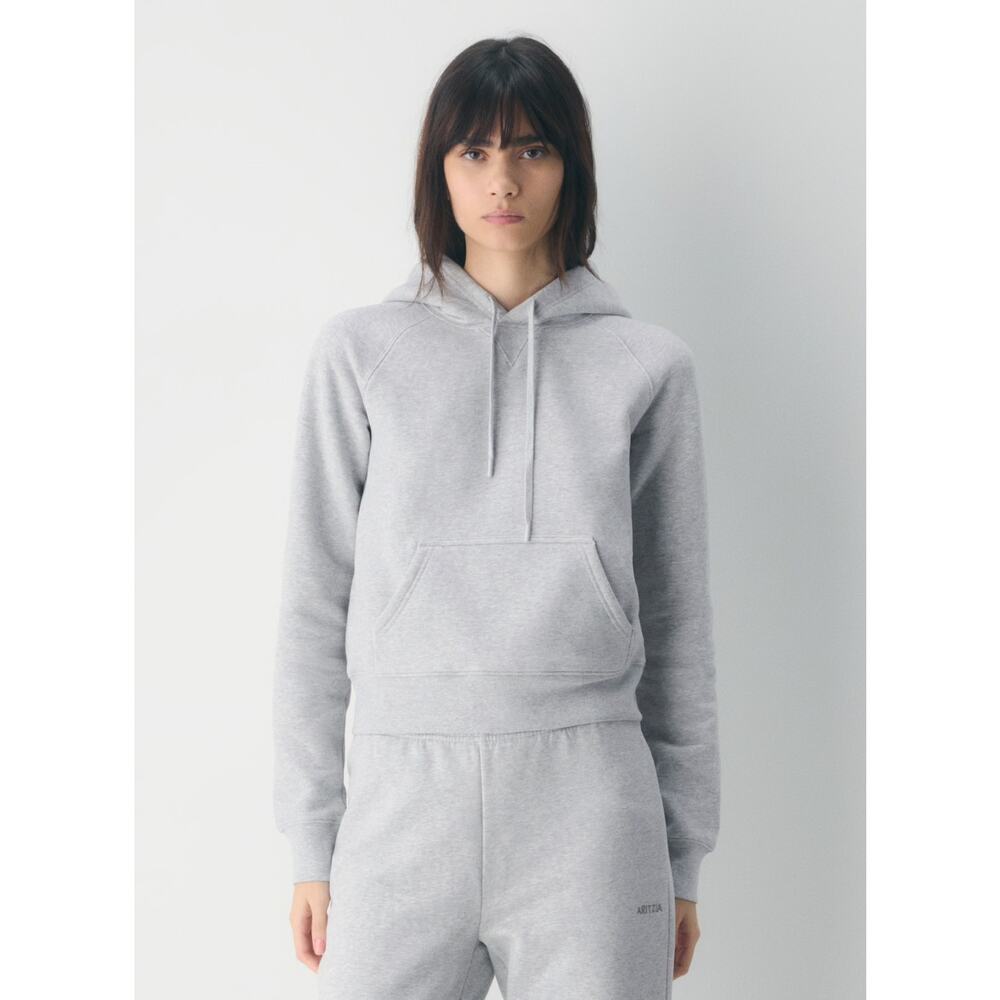 NWT Aritzia Cozy Sweatfleece Snug Raglan Hoodie Hooded Sweatshirt Gray Size 2XS